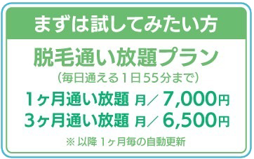 まずは試してみたい方！脱毛使い放題プラン